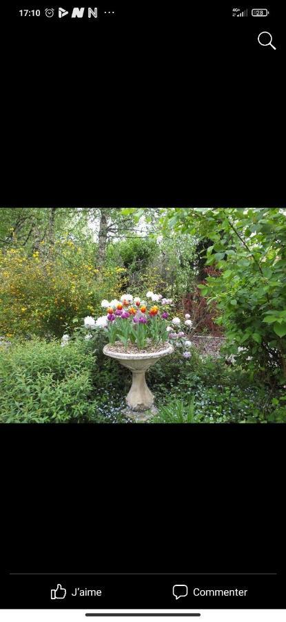 Petit coin de Paradis Fontaine-les-Luxeuil Extérieur photo